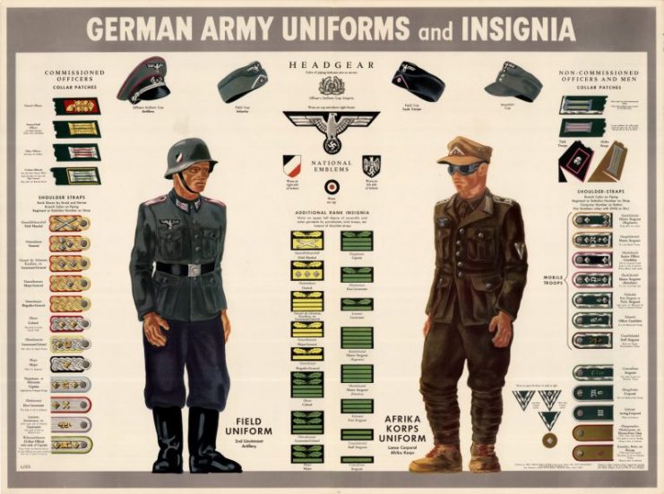Color poster showing the insignia, patches, hats and uniforms of the German army.