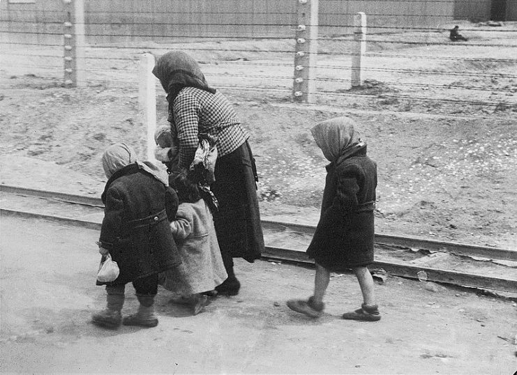 An old woman with children on the way to the gas chambers in Auschwitz-Birkenau (May 1944) – Recording from the “Auschwitz Album”