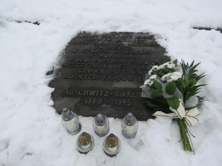 Fresh flowers and candles lie in the snow to commemorate the murdered at the Birkenau memorial.