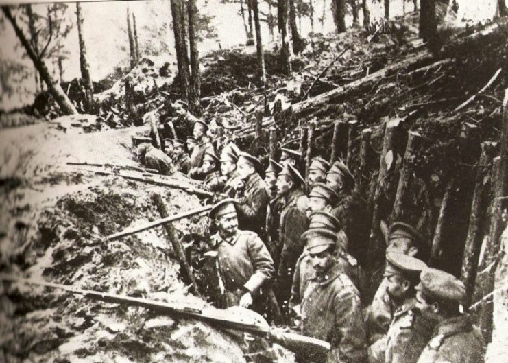 Russian trenches in the forests of Sarikamish.