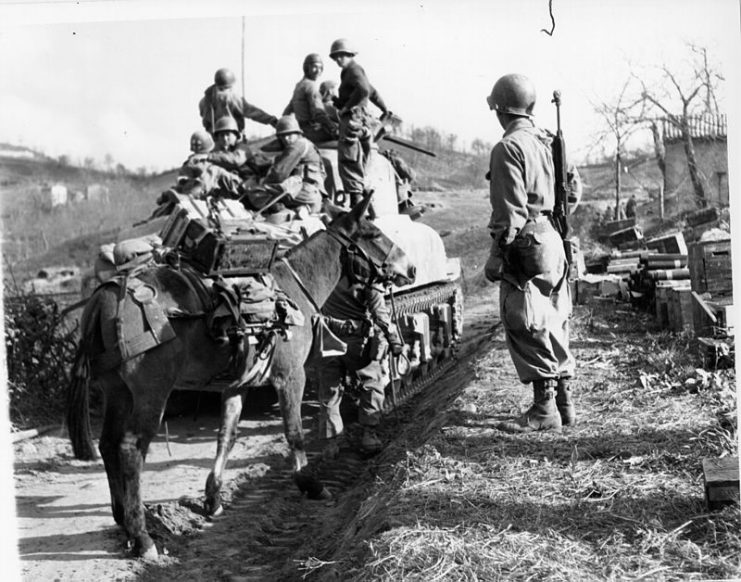 The division advancing in Italy in April 1945.