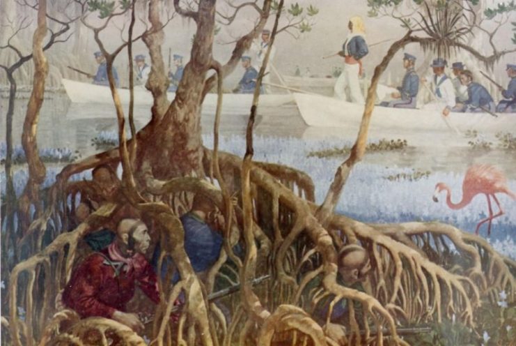 U.S. Marines searching for Native Americans during the Seminole War.