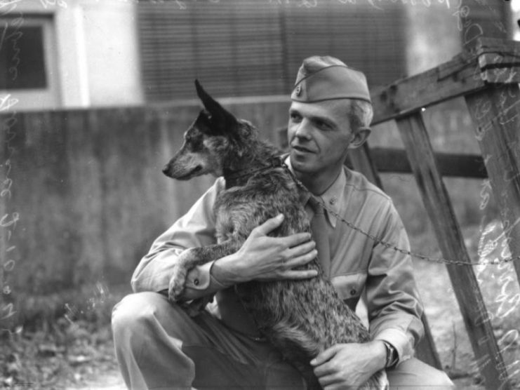 Soldier with a dog