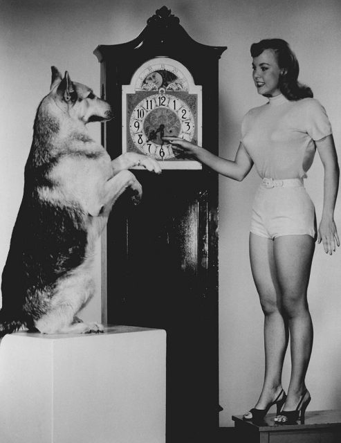 Rin Tin Tin and actress Jana Lund reminding people that Daylight Saving Time would soon begin and also to promote the children’s television program.