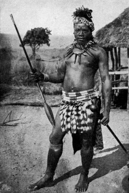 Zulu man with the shorter iklwa.