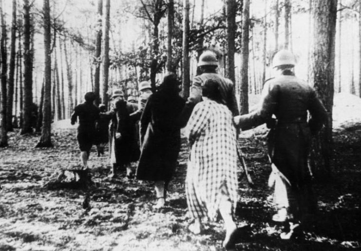 Polish women led to mass execution in a forest near Palmiry village. After the war the woman in the foreground was identified as Janina Skalska.