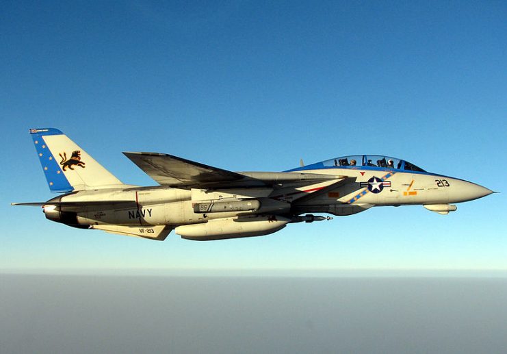 A specially painted F-14D Tomcat, assigned to the “Blacklions” of Fighter Squadron Two One Three (VF-213), conducts a mission over the Persian Gulf.