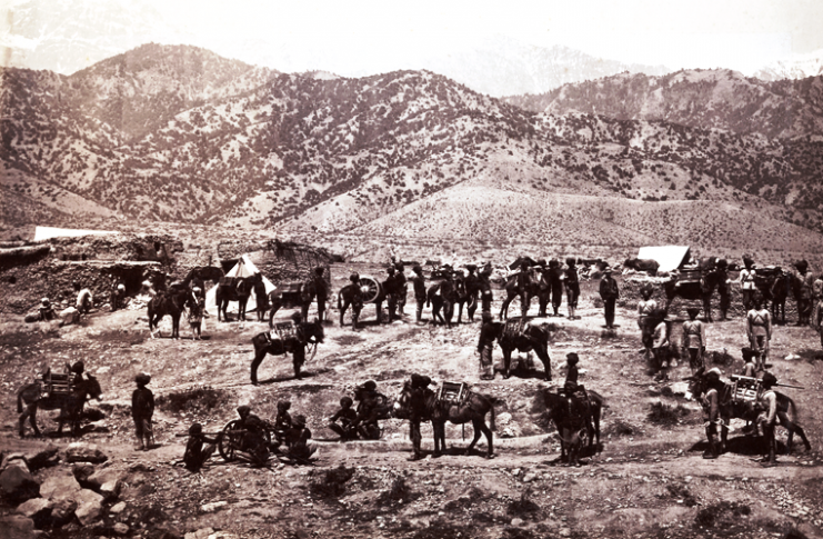 A mule battery in the Second Anglo-Afghan War (1879–1880). Sepoys are sitting by the larger field guns.