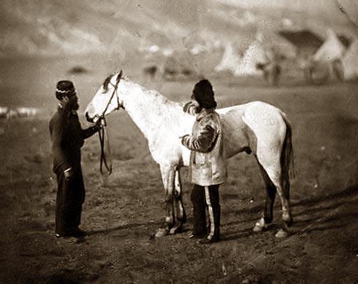 Colonel Clark with horse wounded at Balaclava (c 1855).