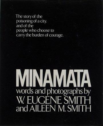 The cover of Minamata