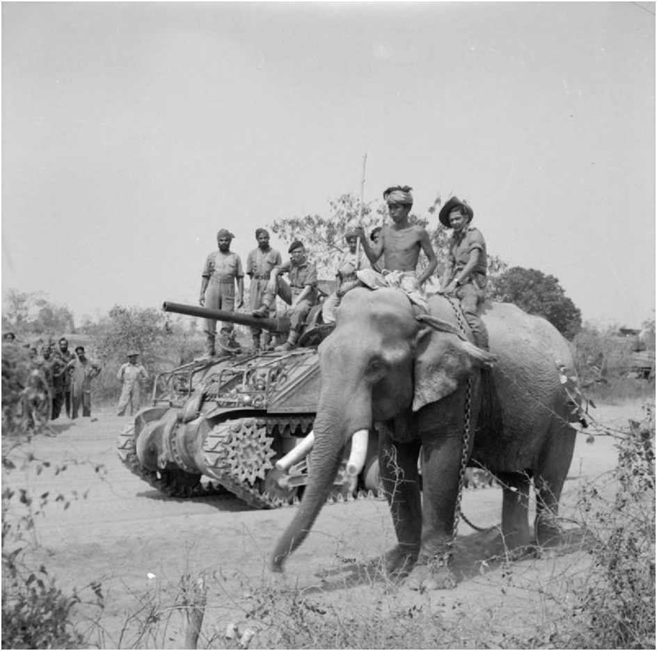 An Extraordinary Tale of Burmese Elephants in World War II Combat