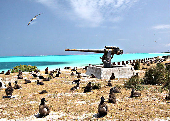 midway atoll