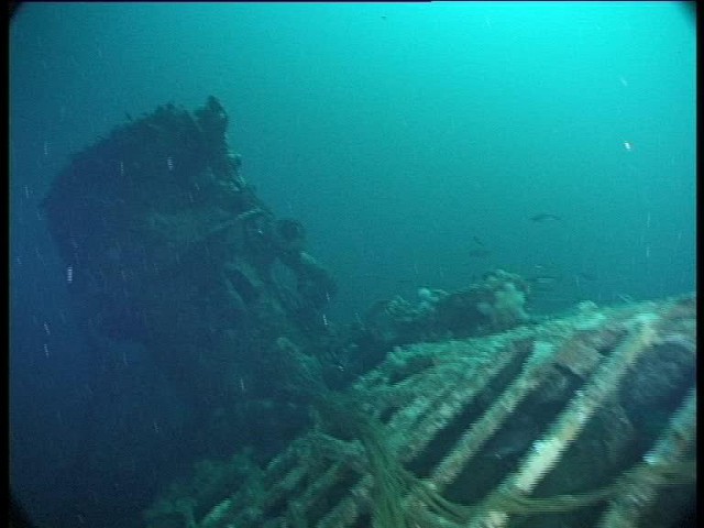 Conning tower recedes as the current blasts me down the wreck (Innes McCartney).
