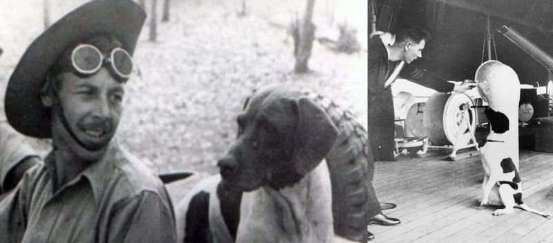 5 Amazing Animals That Served in the Military-02