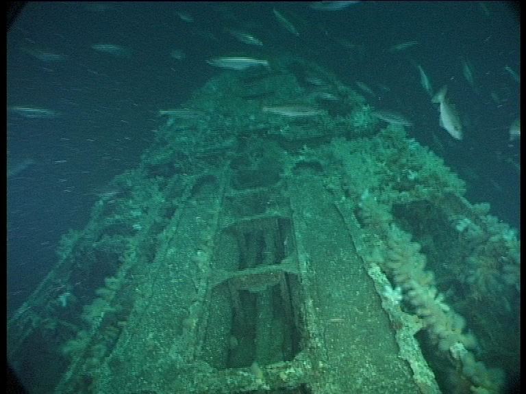 The Discovery Of U 155 By U Boat Hunter Dr Innes Mccartney The Discovery Of U 155 By U Boat Hunter Dr Innes Mccartney