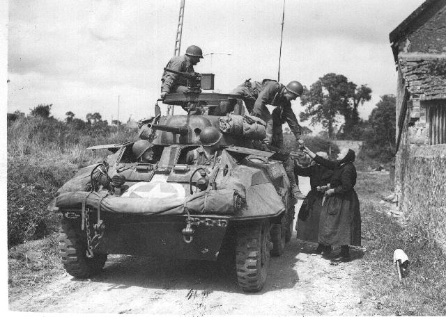 m8greyhound1.jpg
