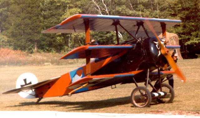 Cole_Palen's_N3221_Triplane