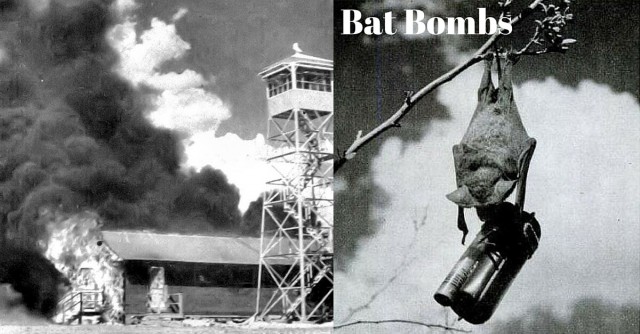 Bat Bombs (1)