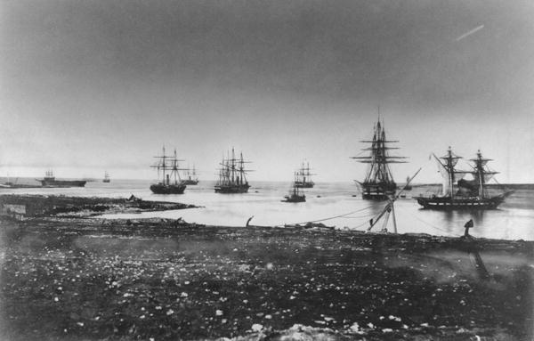 French_squadron_Crimean_war_267106