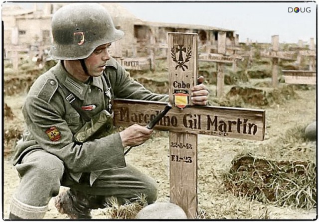 A comrade nails a division sleeve badge on the grave of Cpl. Marcelino Gil Martin of the 2nd Battalion, 263 Inf. Regt., 250th 'Division Azul' Wehrmacht Spanish Volunteers (Died 22/8/42) in Grigorovo, Near Novgorod in Russia. This photo was taken in June 1943 when his brother, Lt. Angel Eustaquio Gil Martin obtained the necessary permission to go to the Volkhov Front to look for the grave of his brother Marcelino, who fell the previous year. (Colourised by Doug)