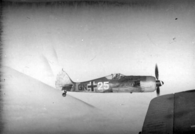 Focke_Wulf_Fw_190_GN-25_in_flight
