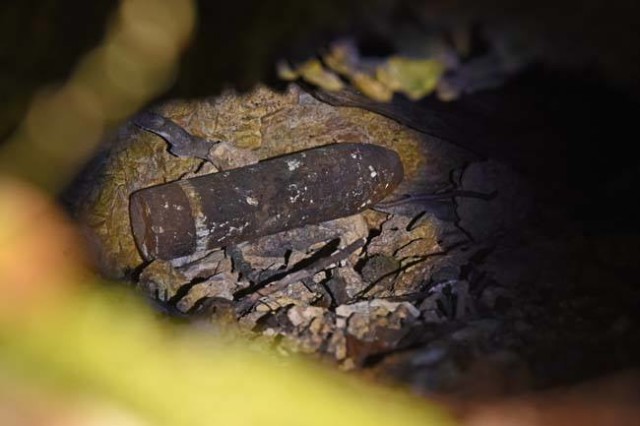 een levende schelp in een bos bij Verdun (Mark Barnes)