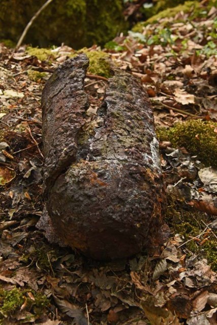 ez egy francia habarcsbomba üzleti vége, egy a sok közül, amely még mindig megtalálható a Verdun körüli erdőben (Mark Barnes)