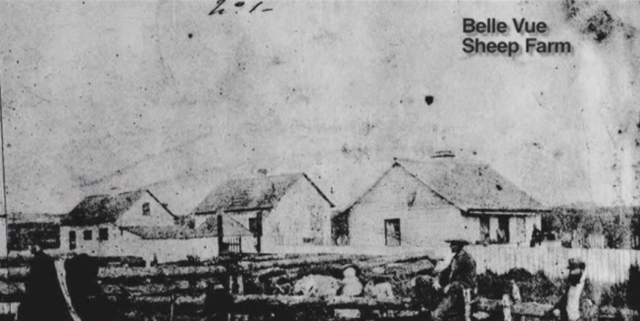 https://www.youtube.com/watch?v=RmG0FGQt-Kc The Belle Vue Sheep Farm
