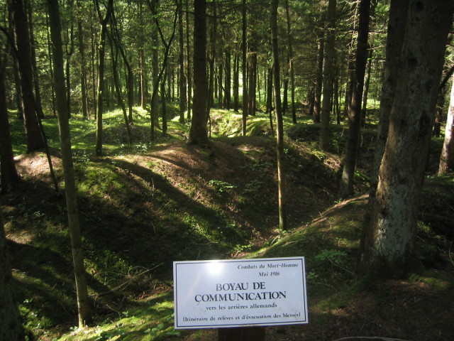 het bos in Mort-Homme, diep in de Rode Zone. Het is niet toegestaan om van de paden af te dwalen omdat het gebied bezaaid is met niet-ontplofte munitie.