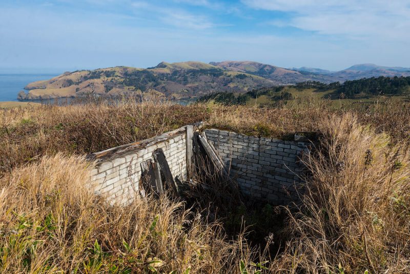 Amazing Pictures of Abandoned Soviet Tanks Left Behind on Shikotan Island