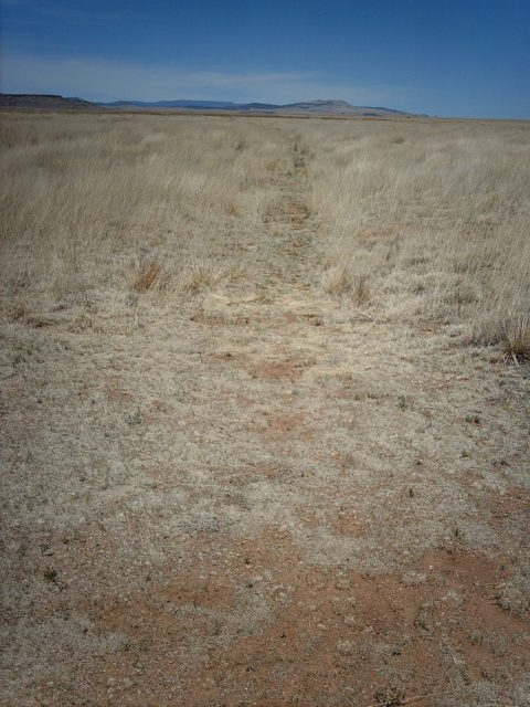 The Santa Fe Trail at Fort Union. Photo Source.