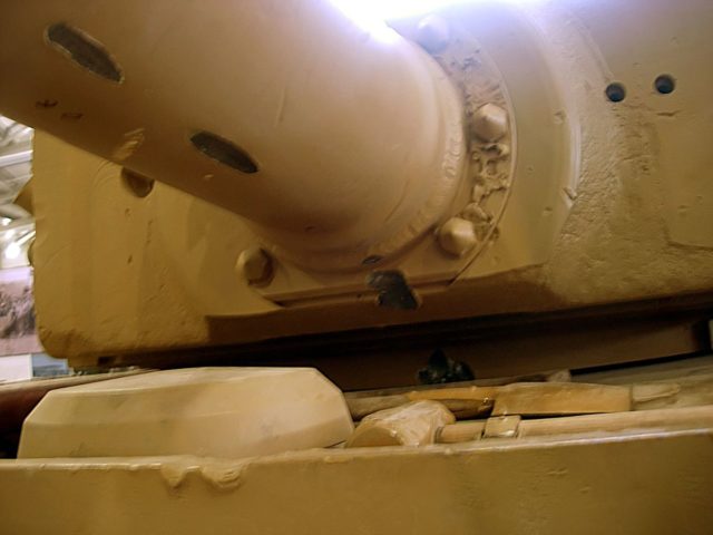 Win A TIGER 131 Workshop Experience - Get Up Close And Personal With