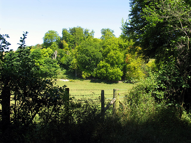 Farmland Along the Thames Path: Whitchurch-on-Thames. This square is all farmland and is quite hilly. The Thames path runs through this square. The hedgerows and trees line the path making it difficult to get much of a view of the farmland. The recent lack of rain is showing too! This view is in the south eastern section of the square, looking more or less north east. Photo: Pam Brophy / CC-BY-SA 2.0