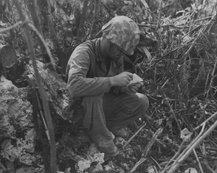 USMC war dog handler reading a message that his dog had just delivered, Peleliu, Palau Islands, September 1944