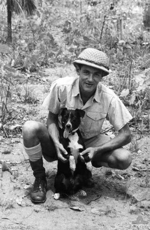 Gunner and his handler Percy Leslie Westcott. Taken after the bombing of Darwin in February 1942.