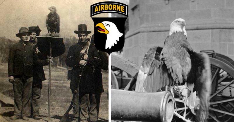 Historic Photos Old Abe from the Centennial the live war eagle of Wisconsin