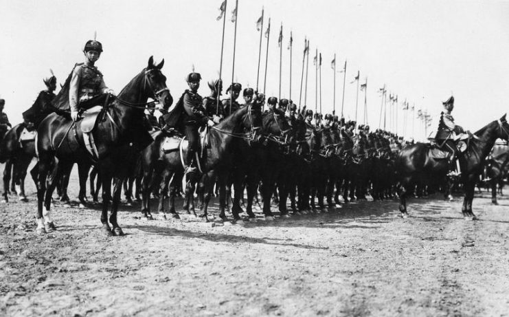 Parade of the 3rd Elizavetgradsky Hussar Regiment in Peterhof.
