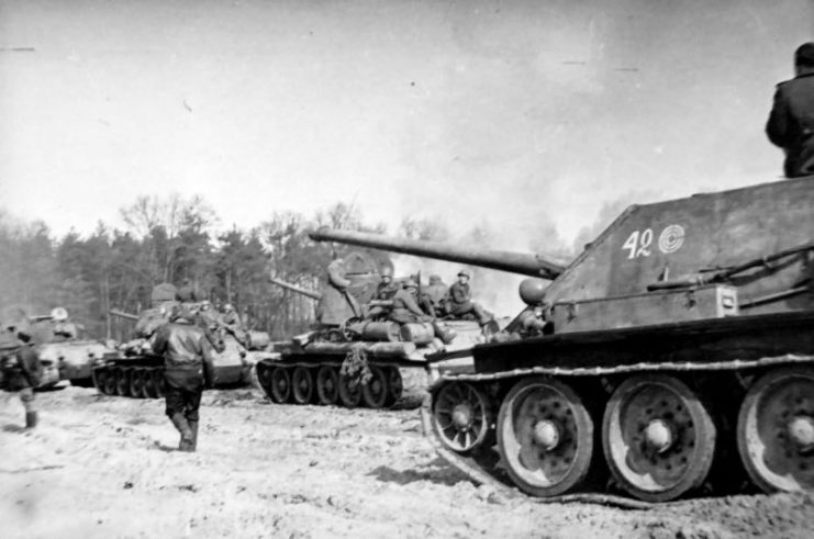 SU-85 and T-34-85s of the 9th Mechanized Corps