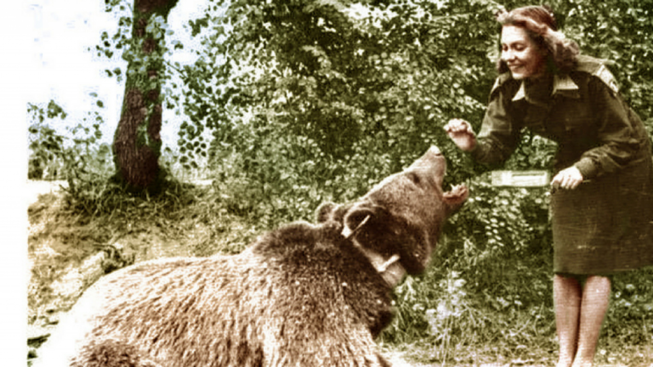 Happy Warrior - Private Wojtek in the Polish Army