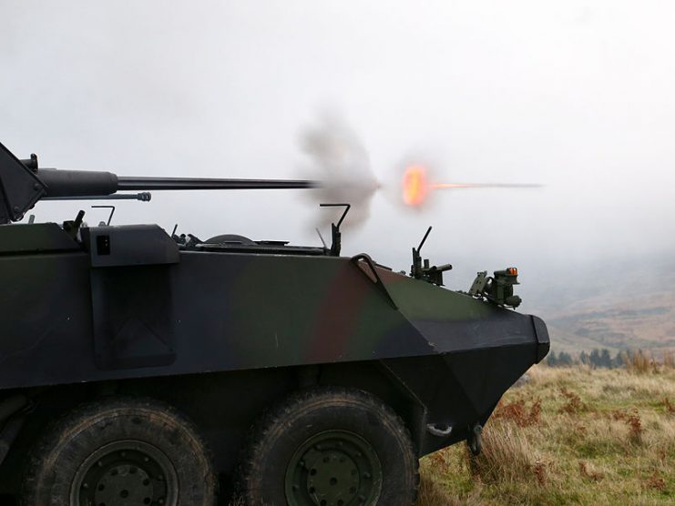 Irish Mowag Piranha shooting Mk44 Bushmaster II. By Irish Defence Forces CC BY 2.0