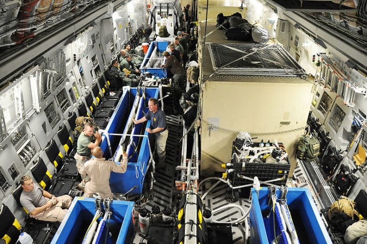 Personnel attending four dolphins during a flight aboard a C-17 Globemaster III.