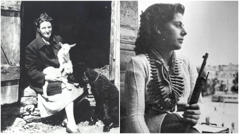Virginia Hall The One Legged Spy Tormented The Nazis The Most