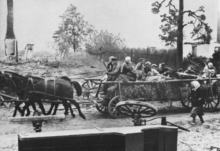 East Prussian refugees in 1945. Photo: Bundesarchiv, B 285 Bild-S00-00326 / Unknown / CC-BY-SA 3.0