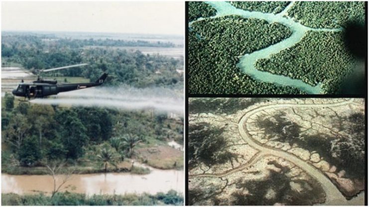 Agent Orange Its Effects Still Haunt Veterans Their Children Today Fascinating Images Agent Orange Its Effects Still Haunt Veterans Their Children Today Fascinating Images