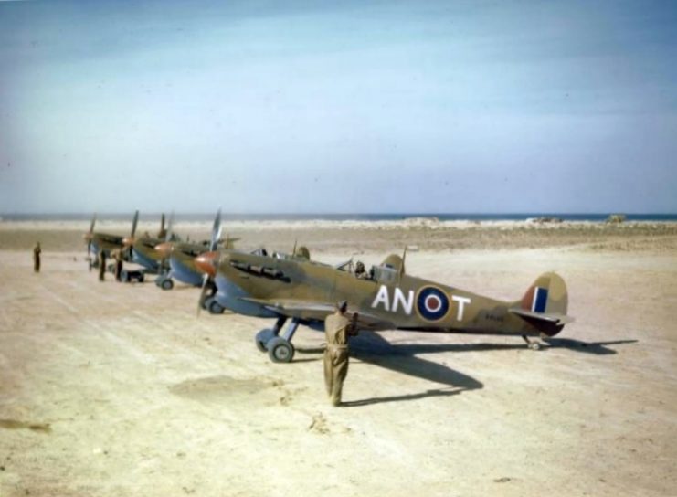 Spitfire Vc (trop) in North Africa. The Spitfire arrived in Malta in March 1942, becoming the main RAF fighter