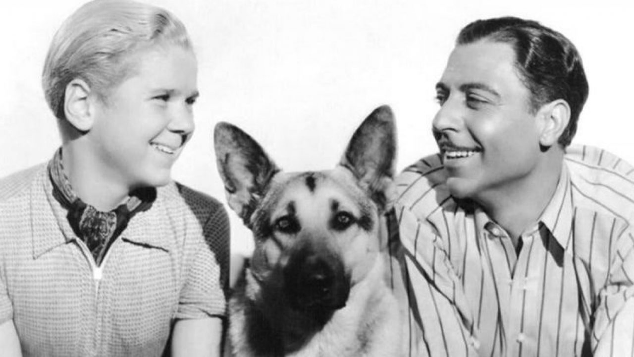 the name of tintin's dog