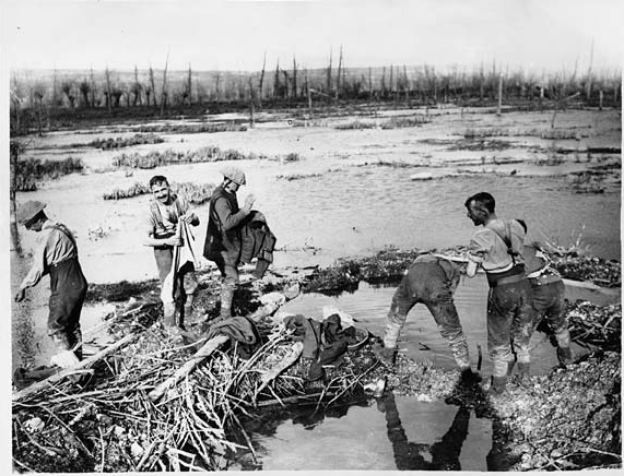 The wet conditions in the mud were not only unpleasant in themselves, but they were also a breeding ground for other problems. Lice were common and were the carriers of the very weakening Trench Fever. The Battle of the Somme.