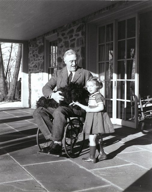 Rare photograph of Roosevelt in a wheelchair, with Ruthie Bie and Fala (1941)