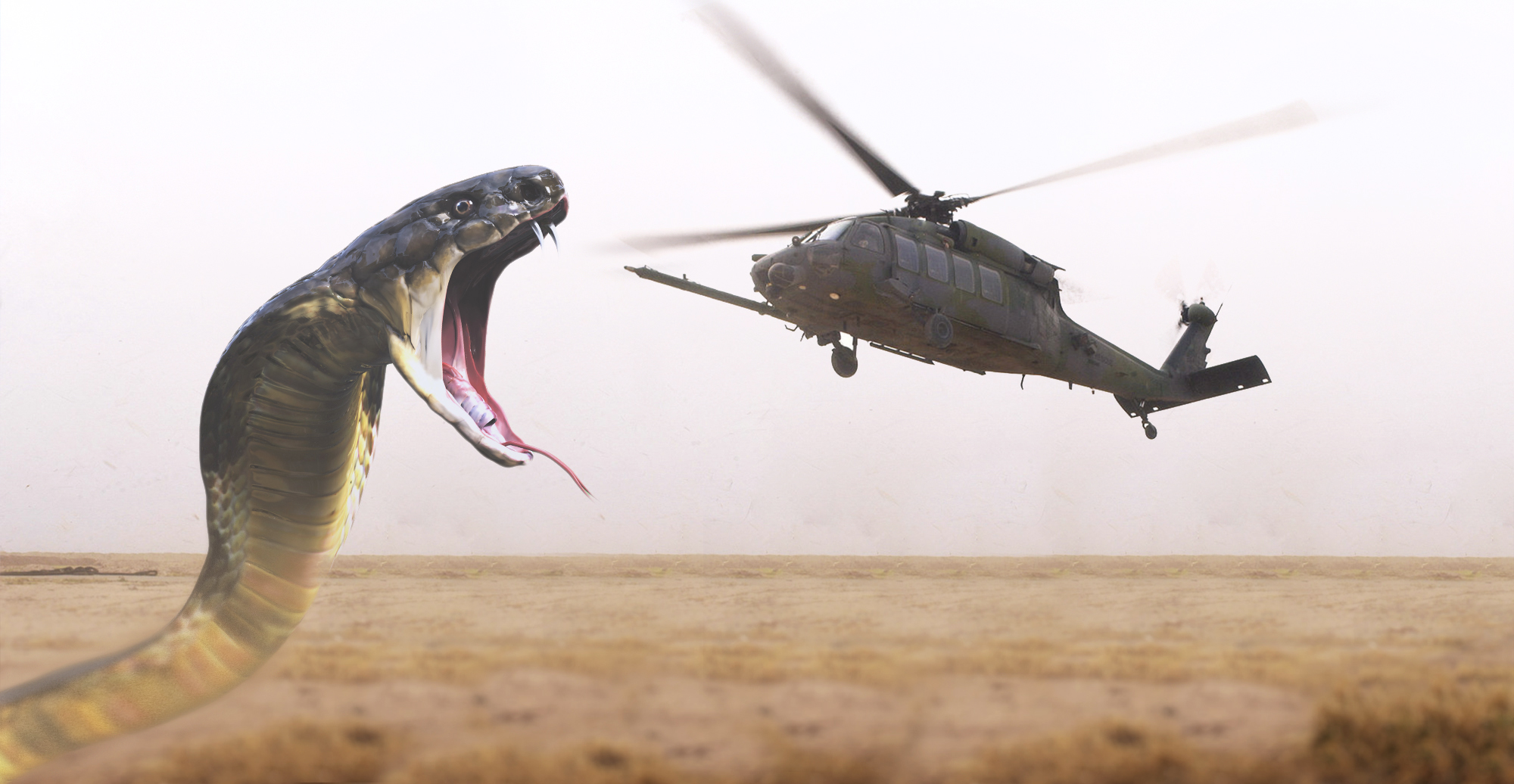The Wwii Ace Whose Helicopter Was Attacked By The World S Largest Snake The Wwii Ace Whose Helicopter Was Attacked By The World S Largest Snake