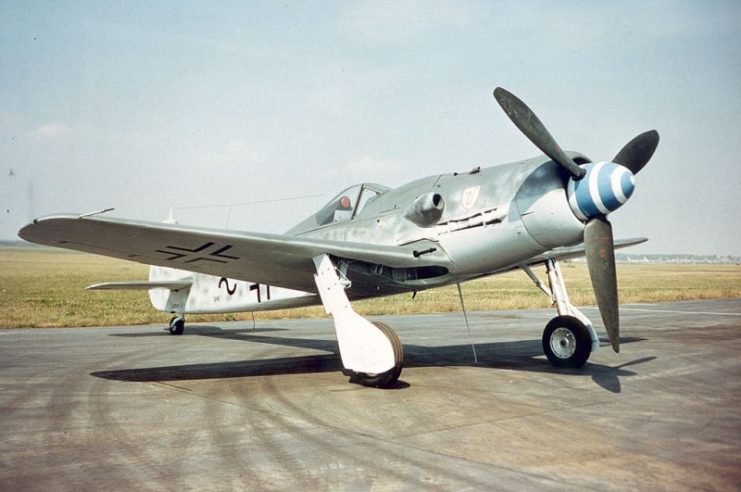 True (graduated from dark to light) countershaded Focke-Wulf Fw 190 D-9